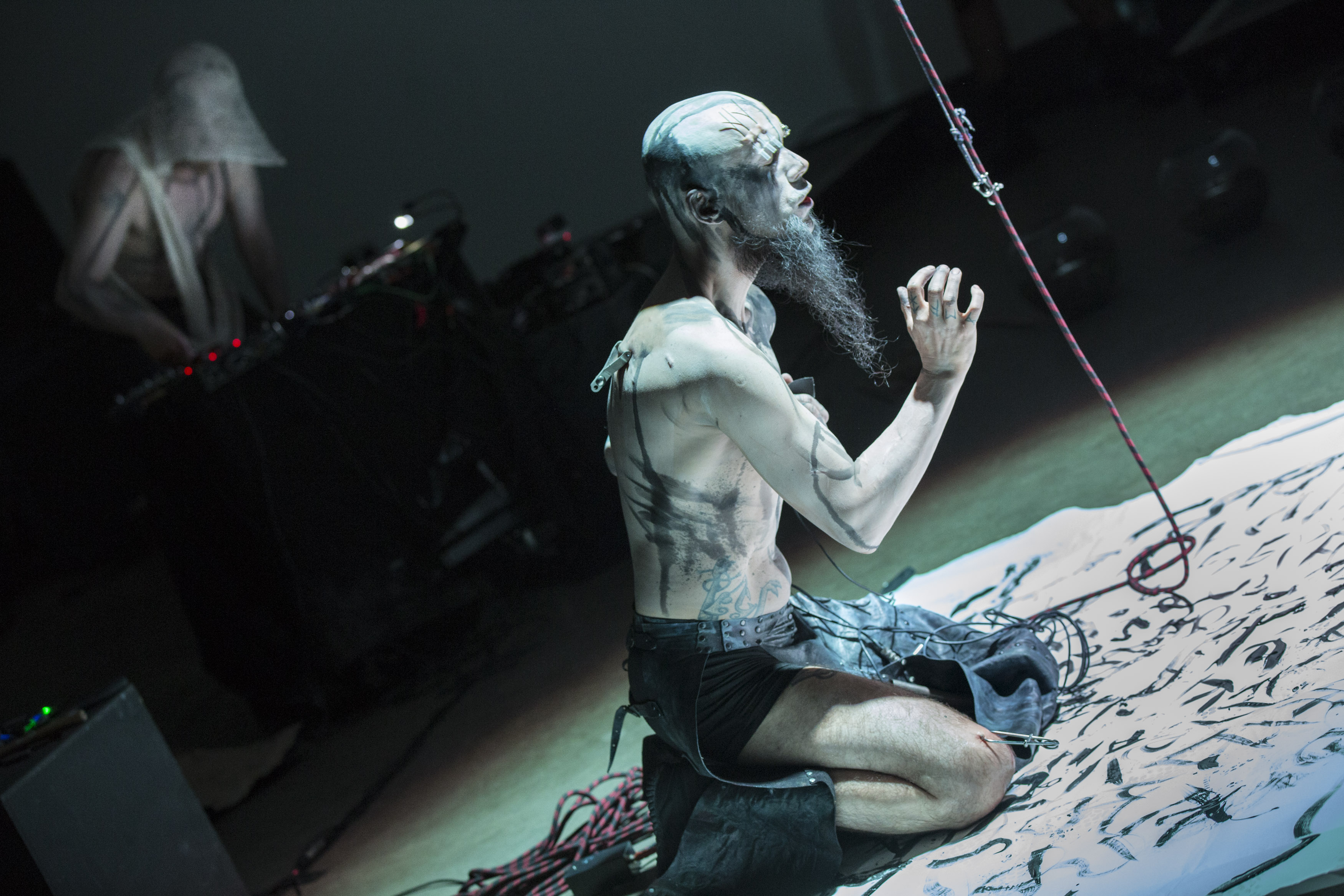 Body Art Ritual, Performance art, Aktionismus