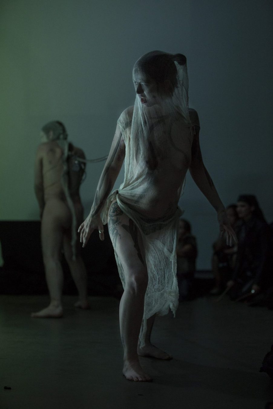 Body Art Ritual, Performance art, Aktionismus